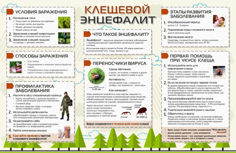 "Осторожно! Клещи!" .